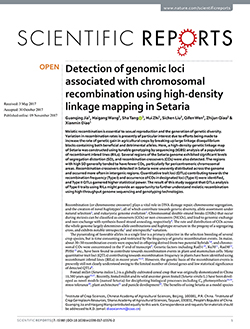 Detection of genomic loci associated with chromosomal recombination using high-density linkage mapping in Setaria