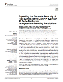 Exploiting the genomic diversity of rice (Oryza sativa L.): SNP-typing in 11 early-backcross introgression-breeding populations
