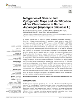 Integration of Genetic and Cytogenetic Maps and Identification of Sex Chromosome in Garden Asparagus (Asparagus officinalis L.)
