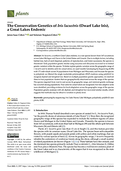The conservation genetics of Iris lacustris (Dwarf Lake Iris), a great lakes endemic