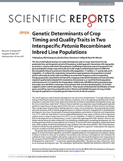 Genetic Determinants of Crop Timing and Quality Traits in Two Interspecific Petunia Recombinant Inbred Line Populations