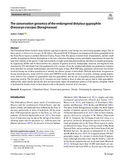 The conservation genomics of the endangered distylous gypsophile Oreocarya crassipes (Boraginaceae)