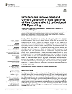 Simultaneous Improvement and Genetic Dissection of Salt Tolerance of Rice (Oryza sativa L.) by Designed QTL Pyramiding