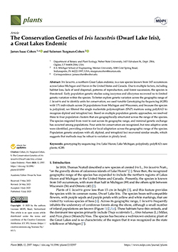 The conservation genetics of <i>Iris lacustris</i> (Dwarf Lake Iris), a great lakes endemic