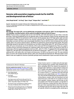 Genome-wide association mapping reveals loci for shelf life and developmental rate of lettuce