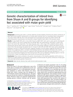 Genetic characterization of inbred lines from Shaan A and B groups for identifying loci associated with maize grain yield