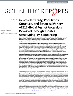 Genetic diversity, population structure, and botanical variety of 320 global peanut accessions revealed through tunable genotyping-by-sequencing