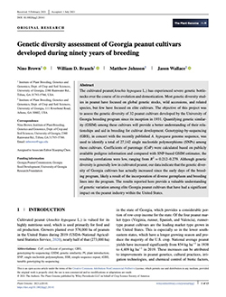 Genetic diversity assessment of Georgia peanut cultivars developed during ninety years of breeding